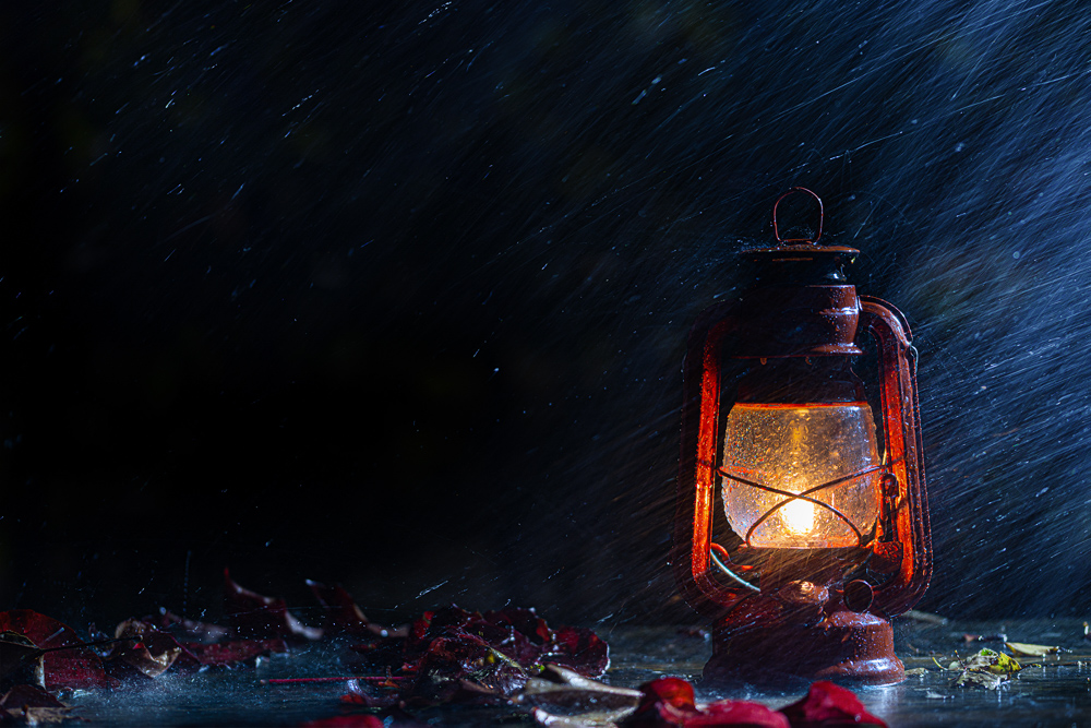 Platz 1 Daniela Korn